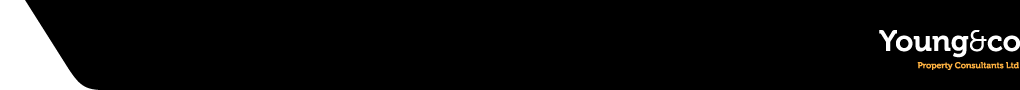 Young & Co Logo